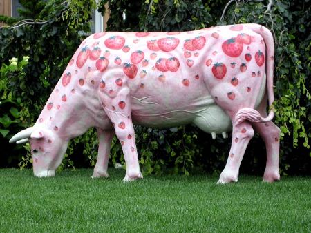 mucche geneticamente modificate