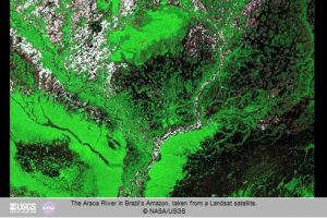 satellite NASA monitoraggio foreste