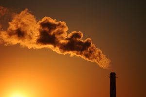 Inquinamento da azoto: dagli effetti sulle piante, strani fenomeni di compensazione