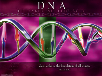 03-ps101-2dna-posters.jpg