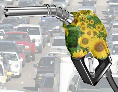 biodiesel_pump_with_flowers.jpg