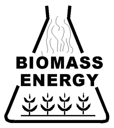 Biopower generation: l'integrazione delle biomasse nel mercato energetico internazionale