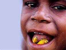 mangiare-tartine-di-cimici-fagottini-di-termiti-e-bruchi-fritti-la-soluzione-alla-fame-nel-mondo-foto-1.jpg