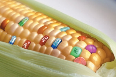 Uno studio della Commissione europea ha confermato la sicurezza degli alimenti OGM
