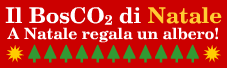 A Natale fai un regalo sostenibile, pianta un albero con Legambiente e Azzero CO2 nel BosCO2 