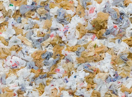 Notizie dal futuro: plastica "verde" biodegradabile dalle piante