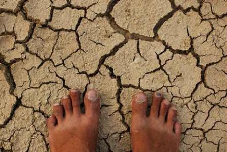 La siccità australiana provoca acidificazione nel terreno e problemi di salute