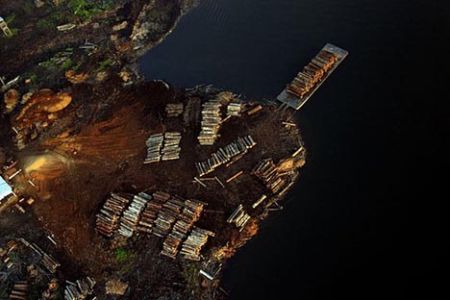 deforestazione-amazzonica