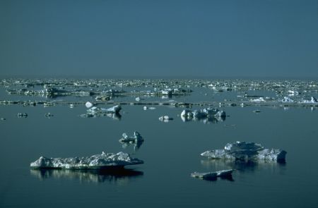 Nei prossimi 60 anni il Mar Glaciale Artico sarà completamente inquinato