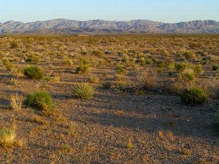 deserto del Mojave