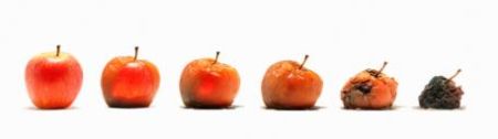 La soluzione alla fame nel mondo: la mela che non va a male. Sareste disposti a provarla?