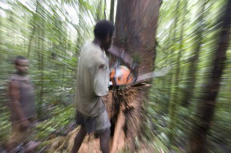 La deforestazione in Amazzonia continua a ritmi elevatissimi