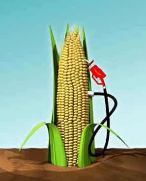 Biocarburanti, agricoltori africani rischiano sfratto dalle loro terre