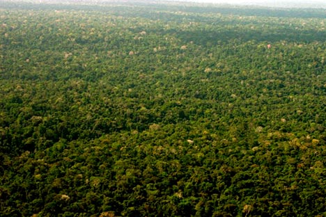 foresta Amazzonica