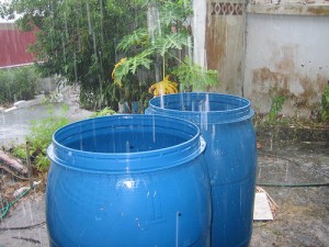 raccolta acqua piovana