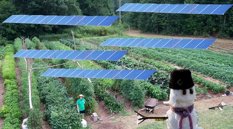 Fotovoltaico in agricoltura: futuro incerto in Sardegna