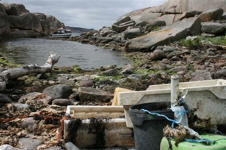 rifiuti nel mare, iniziative verdi