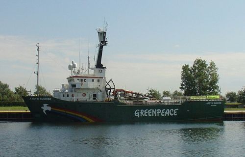 Marea nera, parte la spedizione di Greenpeace, obiettivo indagare sui danni all'ecosistema