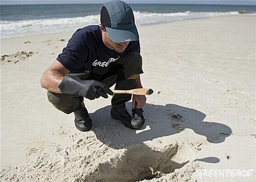 Marea nera, Greenpeace scopre petrolio nascosto sotto la sabbia
