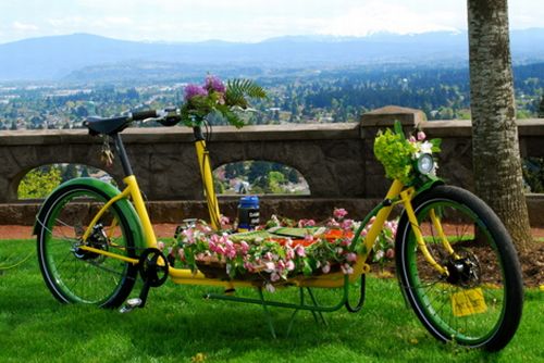 Matrimonio ecologico, in sella a bici elettriche per dire sì a Roma