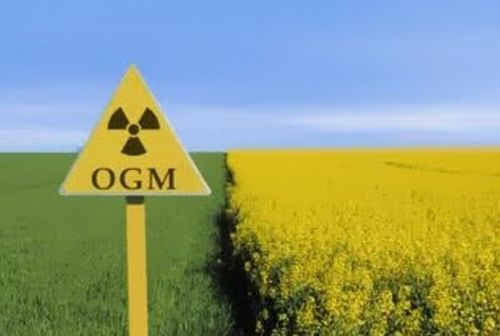OGM: un milione di firme per tenerlo fuori dall'Europa