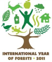 L'ONU proclama il 2011 anno delle foreste