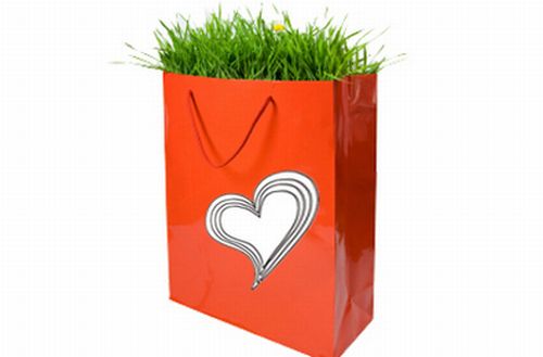 San Valentino 2011, idee regalo ecofriendly su Yeslife Store
