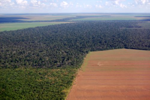 Amazzonia, record di siccità nel 2010
