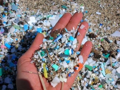 Sacchetti di plastica, Tar del Lazio conferma divieto