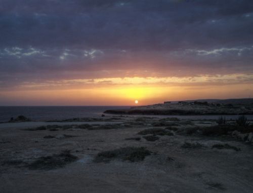 Biodiversità Canale di Sicilia, isole Pantelleria, Lampedusa e Linosa vanno protette dalle trivellazioni