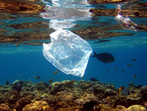 Mediterraneo di plastica, un continente di spazzatura sommerso dalle acque