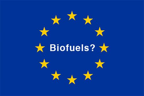 Biocarburanti "immorali": chiesta moratoria all'Unione Europea