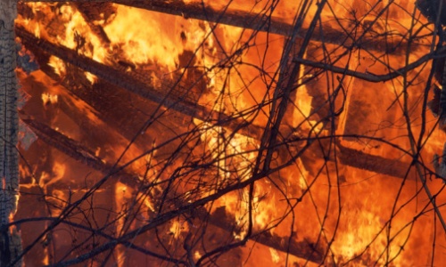 Emergenza clima ed incendi, un binomio pericoloso per il Pianeta
