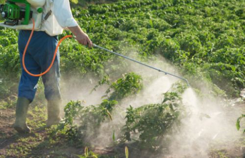 L'ambiente minacciato dai pesticidi, Greenpeace lancia l'allarme