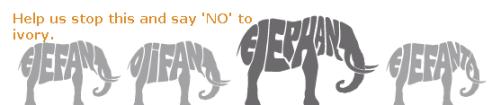 Animali in via d'estinzione, Leonardo Di Caprio difende gli elefanti
