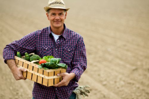 Acquisti sostenibili nelle botteghe degli agricoltori di Campagna Amica