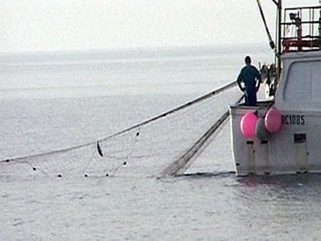 Pesca illegale in Italia, multa in arrivo dalla Commissione UE 