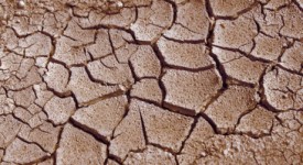 disastri ambientali cambiamenti climatici governo australiano