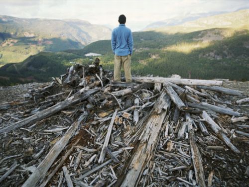 WWF: per combattere il riscaldamento globale basta bloccare la deforestazione