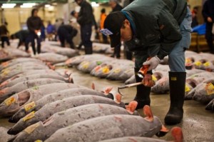 pesca sostenibile india trattati internazionali