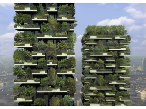 Il bosco verticale a Milano prende forma