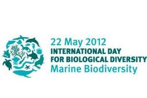 Giornata mondiale della biodiversità, il 22 maggio è festa in tutto il mondo
