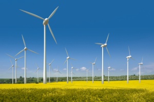 Ecologia, dal vento energia pulita per tutto il Pianeta