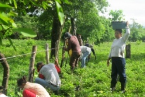 Ambiente, nuova piantagione Tree-Nation in Nicaragua