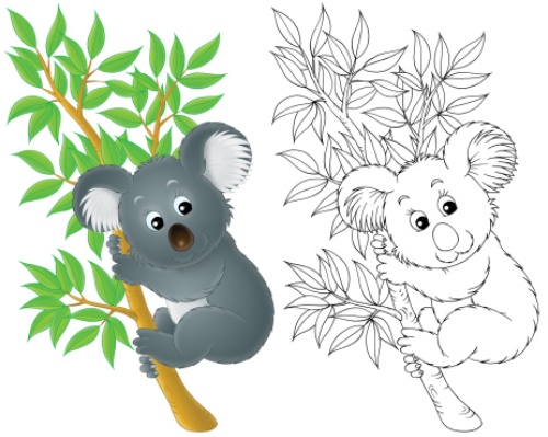 Disegni da colorare di koala disegni da colorare di koala