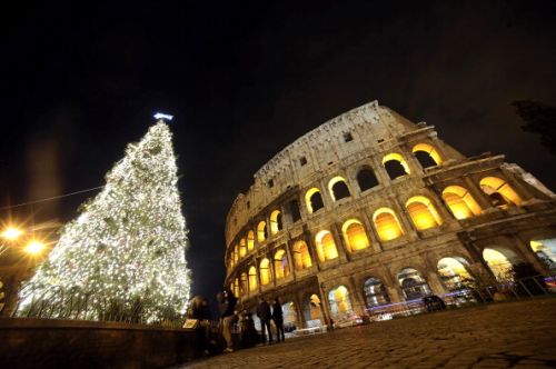 alberi di natale abeti secolari roma