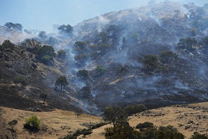 Australia sopra i 40 gradi, torna il rischio di grandi incendi