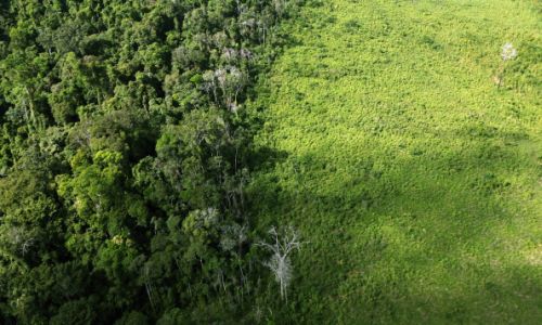 amazzonia pericolo cambiamenti climatici