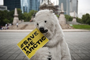 Save the Arctic, tante star italiane impegnate in Abbracci Polari