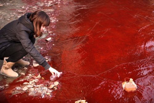 Cina, offerti 23 mila euro per fare il bagno nel fiume inquinato